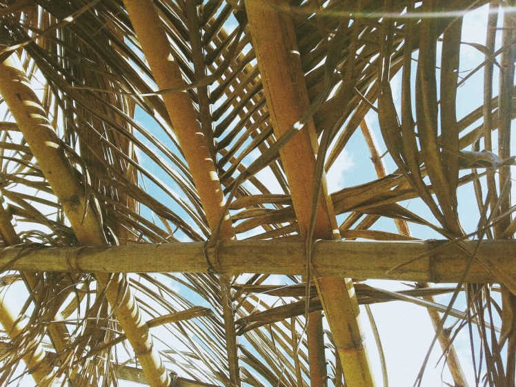 Processed with VSCO with m3 preset