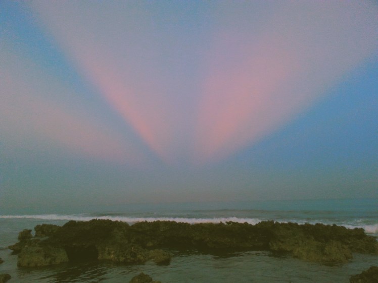 Processed with VSCO with c1 preset