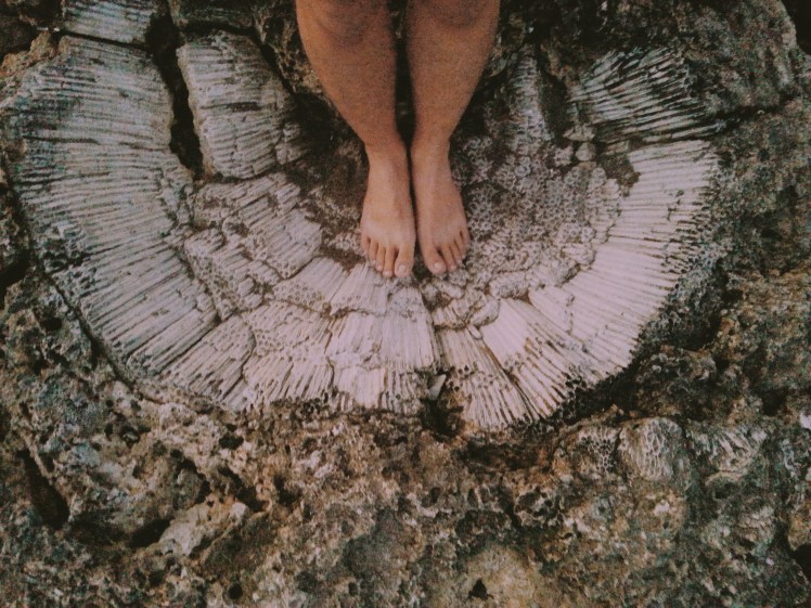 Processed with VSCO with m5 preset