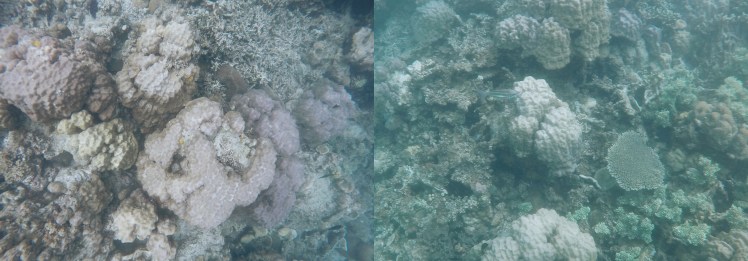 Processed with VSCO with j3 preset