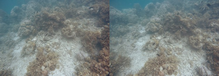 Processed with VSCO with j3 preset