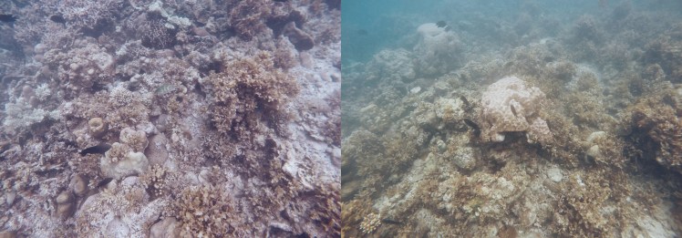 Processed with VSCO with j3 preset