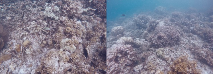 Processed with VSCO with j3 preset