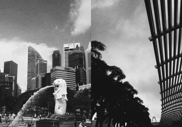 pixlr_20170729171214302