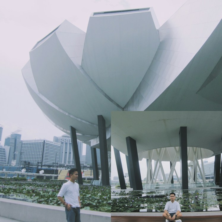 pixlr_20170729174134204