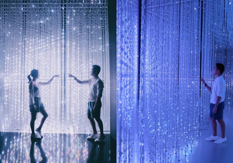 pixlr_20170729174428459