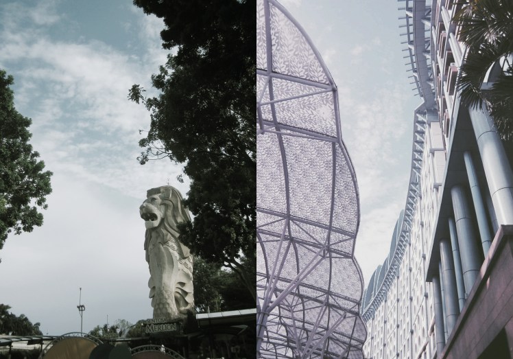 pixlr_20170729181106017